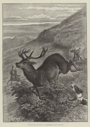 Het Wilde Westen van Engeland, het opjagen van een Hert op Exmoor